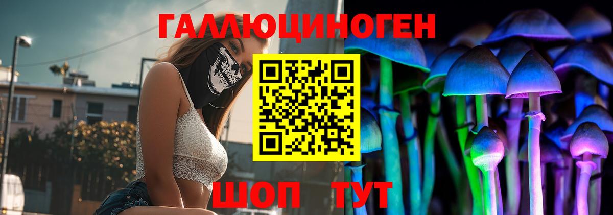 Россошь  Псилоцибиновые грибы Cubensis  Вход с VPN 